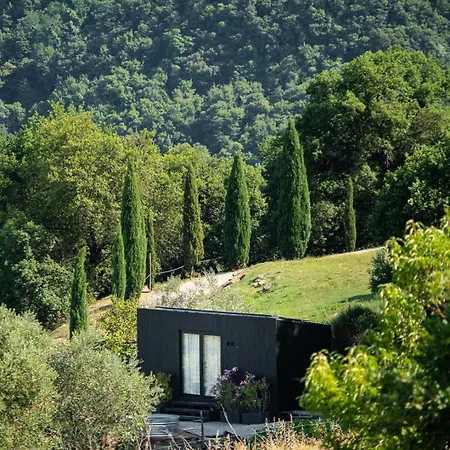 Younicube Glamping